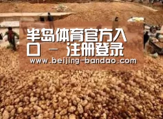 种植基地二