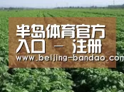 种植基地五